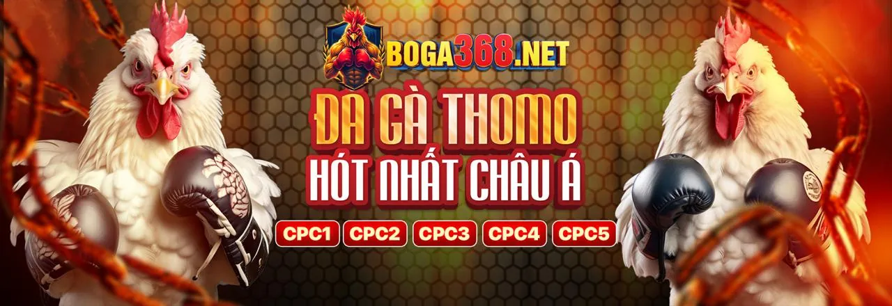 Nền tảng cá cược trực tuyến kuwin2