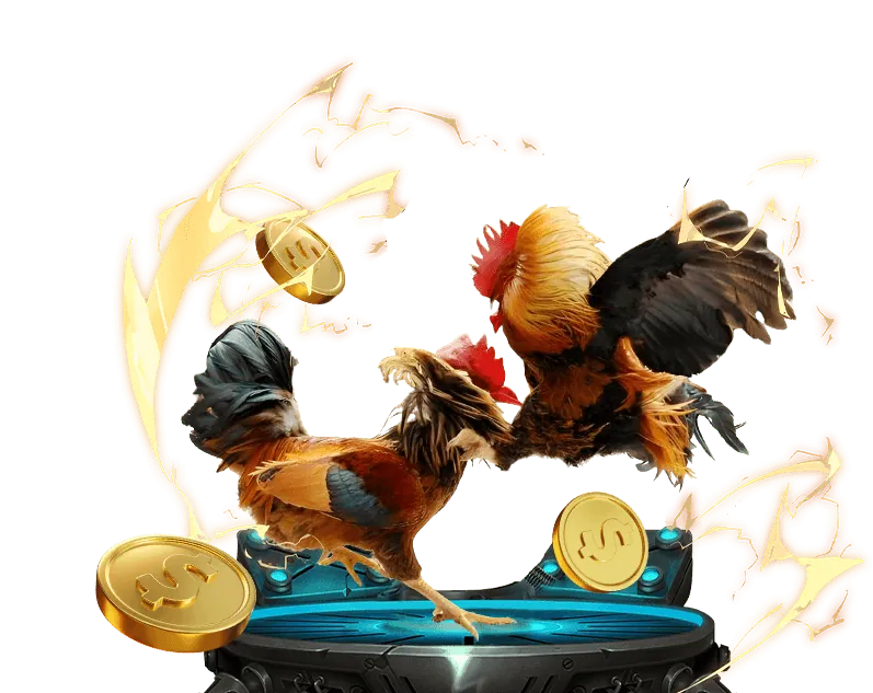 Lịch sử hình thành và tầm nhìn phát triển của Kuwin2